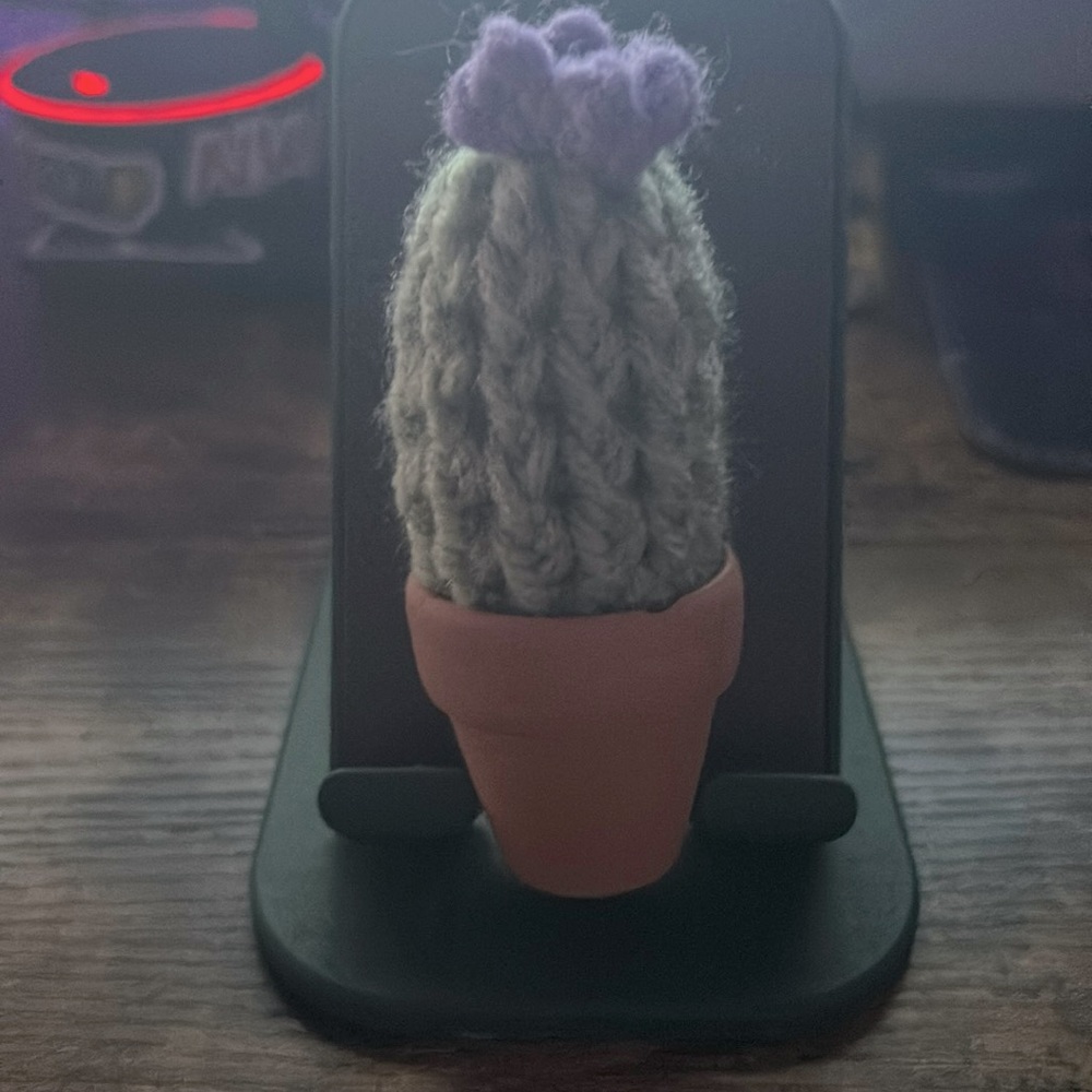 cactus crochet